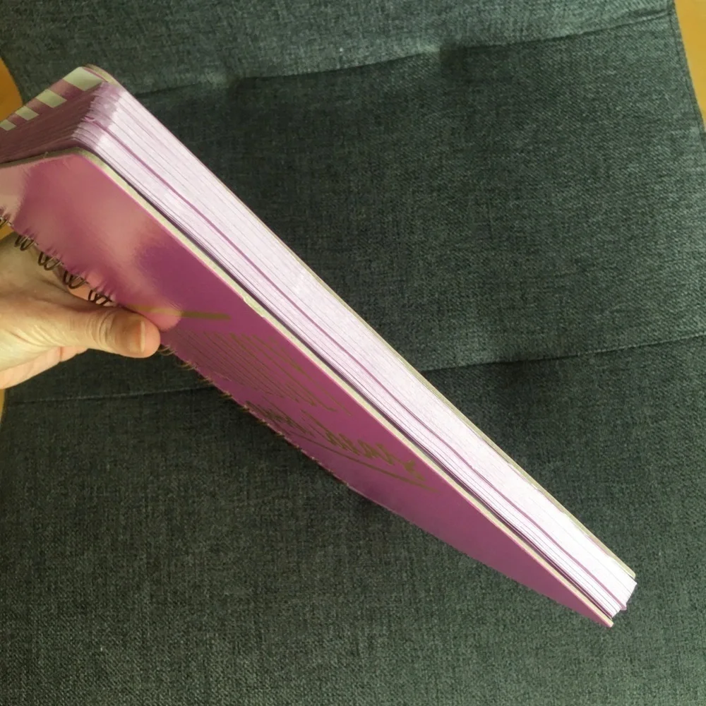 “RIDICULOUSLY good ideas” Spiral Bound, Lined Journal, Pink, White, 120 pages